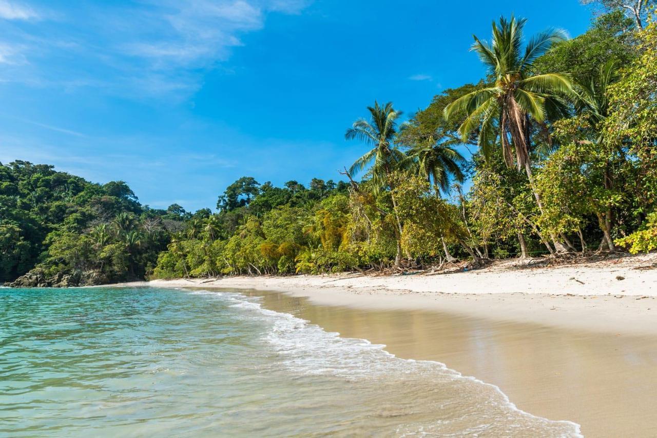Kikazaru Beautiful Boutique Hotel With Pool (Adults Only) Manuel Antonio Eksteriør billede